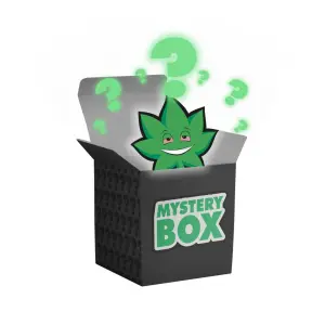 MYSTERY BOX