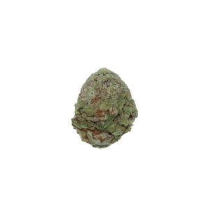 Free EasyBud 7g Flower