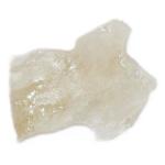 NEXT LEVEL FARMS - BLUE DREAM